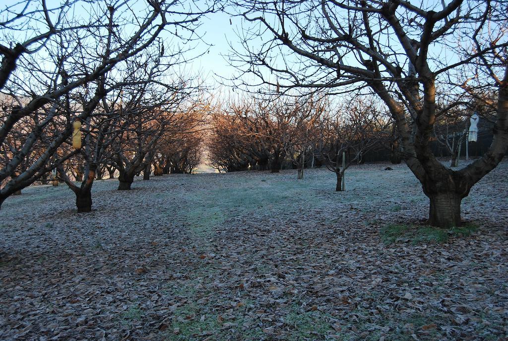 Tenuta Fortelongo Fara Vicentino Экстерьер фото