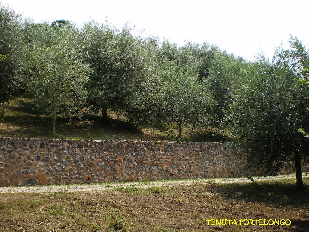 Tenuta Fortelongo Fara Vicentino Экстерьер фото